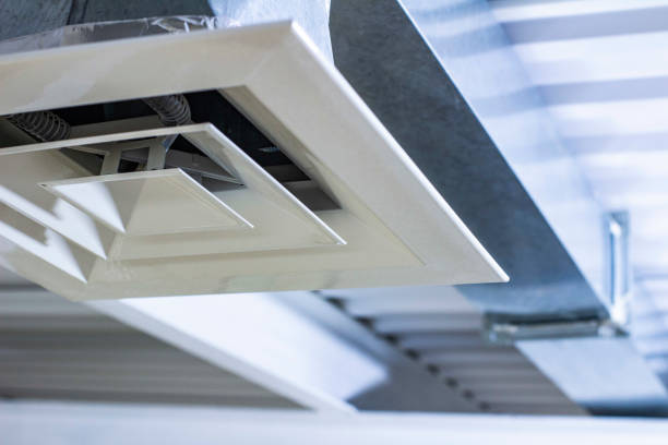 Best Affordable Duct Cleaning Services  in Despard, WV
