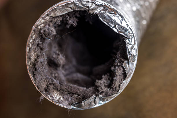 Best Affordable Air Duct Cleaning  in Despard, WV