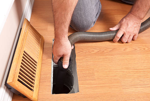 Best Emergency Air Duct Cleaning  in Despard, WV